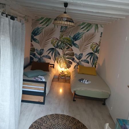 Ferienwohnung Le Logis De La Rue Des Arts Blois Exterior foto