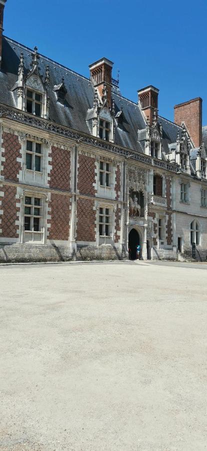 Ferienwohnung Le Logis De La Rue Des Arts Blois Exterior foto